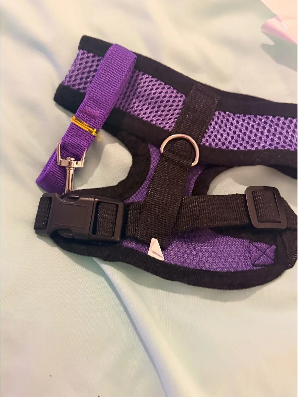 Adjustable Mesh Dog Harness with Leash Set - Purple and Blue